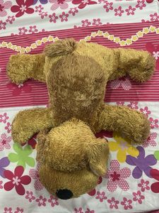 Cuddly Brown doggie Plush Toy