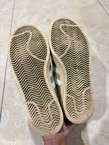 Adidas Original Campus sneaker