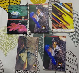 13 Notepads