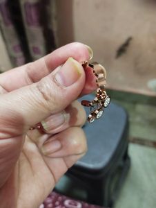 Anti Ternish Earings
