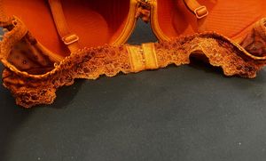 Beautiful Lace Padded Underwire Bra