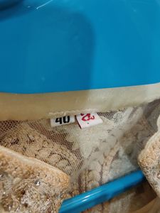 Designer Adi’s Ivory floor Length Anarkali Gown