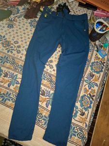 Stylish Blue Flared Pants