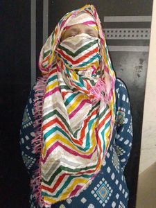 Vibrant Chevron Print Dupatta of 1
