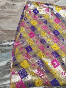 Elegant Brocade Ethnic Skirt