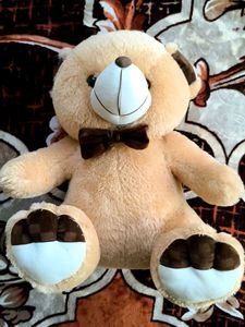 Teddy Bear 🧸