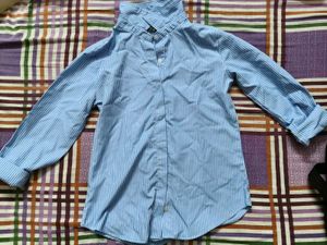 Blue Striped Button-Up Shirt