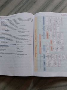 Business Studies Textbook for Class 12 Part 1