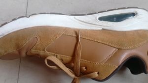 original skechers shoes..