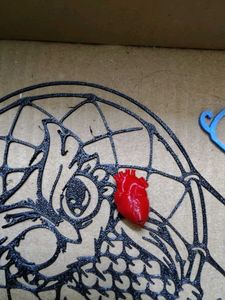 Dreamcatcher Owl Wall Decor combo