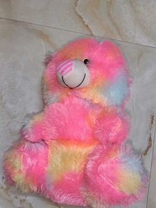 FREE DEL NEW PRODUCT Cute Rainbow Teddy B