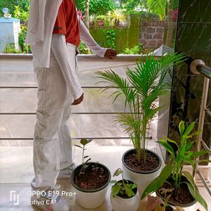 White Baggy Pant