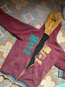 Maroon Hooded Zipper Jacket