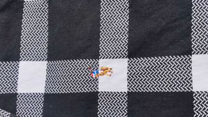 Classic Black &amp; White Checkered Casual Shirt