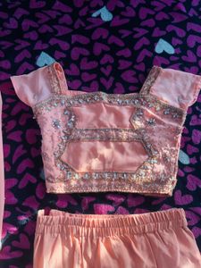 Peach Fish cut Lehenga Choli Set