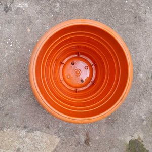 Big Plant Pots