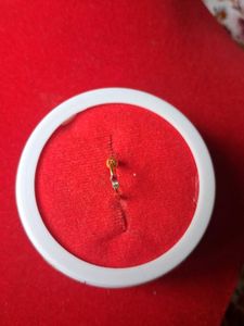 Elegant Gold Nose Pin with double stone