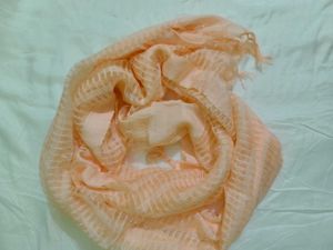 Light Peach Striped Dupatta