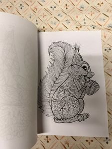 Adult Coloring Book: Animals