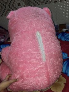 Huge Big Teddy