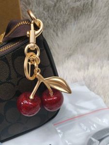 Coach Teri Gift 🎁 set coffee brown