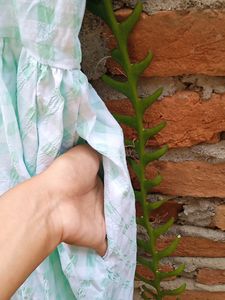 Zara Mint Green Dress!