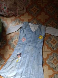 Cute Denim Dress with Flower Appliques