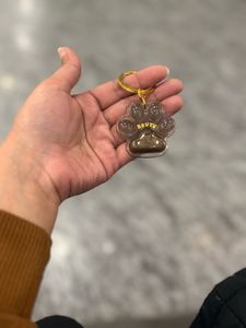 Custom Pet Collar tag paw shape