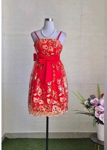 birthday/party dress