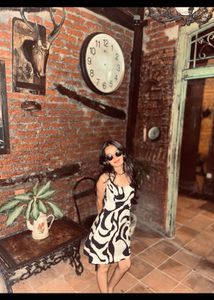 H&MZebra Print Dress