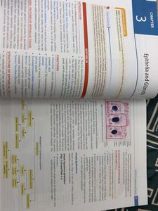 Inderbir Singh's Textbook of Human Histology