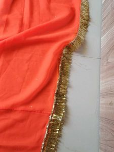 RAJASTHANI RAJPUTI ODNA