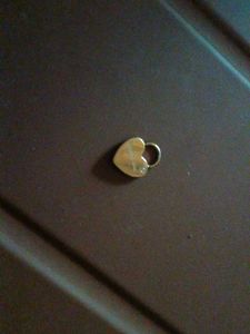 Heart Shaped charm