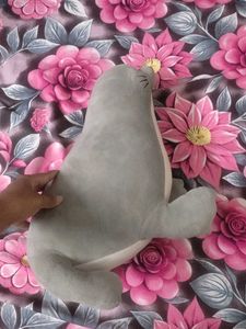 Cute Seal Plush Toy
