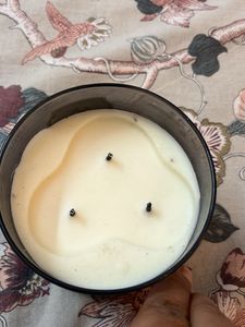 Bath And Body Works Bbw Candle