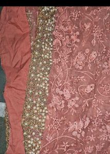 Stunning Embroidered Saree with Pearl Border