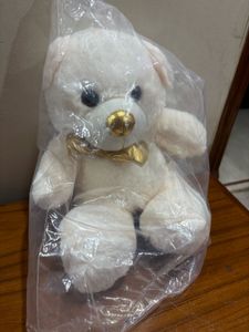 Cute Cream Teddy Bear
