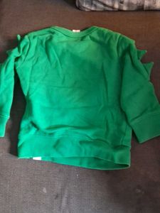 Kids Green Dinosaur Graphic Sweatshirt