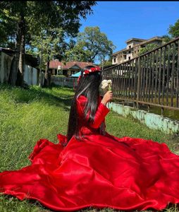 Elegant Red Ethnic Gown