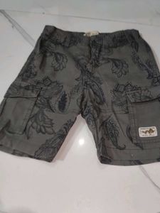 Men's Cargo Shorts with Paisley Print