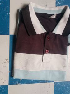 Stylish Striped Polo T-Shirt