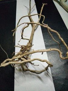 Natural Driftwood Branches &amp; Roots