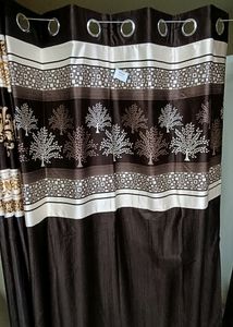 Window Curtain