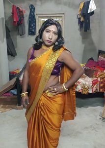 Elegant Saree - Golden Hues