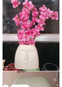 Ceremic Made Face Planter