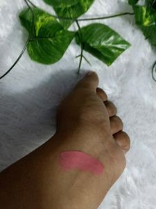 Pink Matte Lipstick