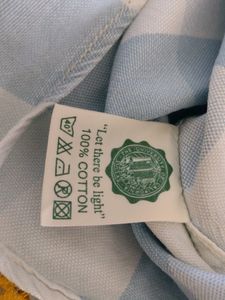 Blue And White Checks Shirts (Men's)