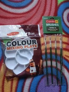 UnUsed/New : Color Mixing Plate & Brushes