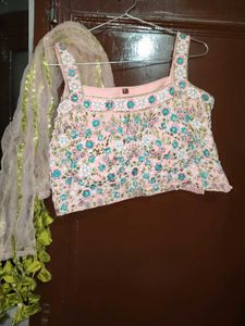 Embellished Lehenga Choli with Dupatta