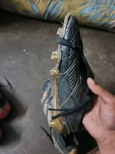 adidas Pradoitor nike mercurial